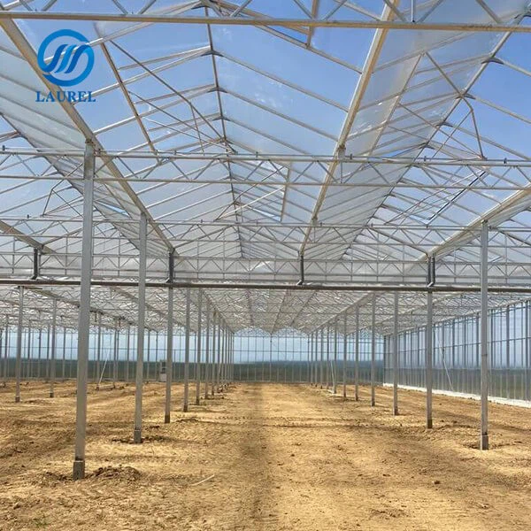 agriculture horticultural greenhouse glass agriculture horticultural greenhouse glass