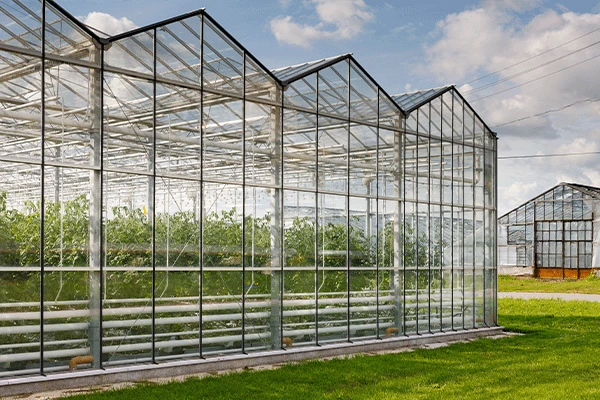 insulated glass for greenhouse insulated glass for greenhouse